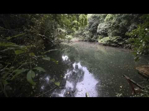 The Forgotten Reservoir