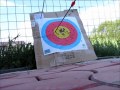 samick polaris target shooting