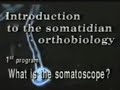Earth's Tiniest Living Organisms: Somatids (Identify: Friend or Foe?)