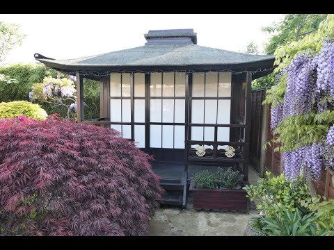 Japanese Tea House