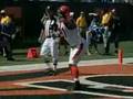 Epic Touchdown Celebrations