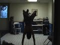HandBail