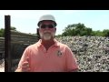 Recycling : How & Where Is Glass Recycled?