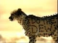 Funny ads compilation [6 of 8]