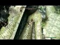 Skyrim lolshieldcharge