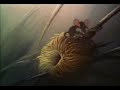 The birth of Bambi - Mandy (by Westlife)