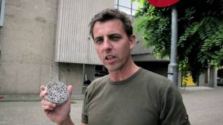 Conheça o "concreto vivo" que fecha as próprias infiltrações