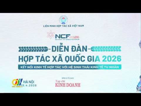 Diễn đàn Hợp tác xã Quốc gia 2026: Kết nối kinh tế hợp tác với hệ sinh thái kinh tế tư nhân