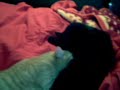 Breast feeding by older sister