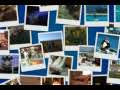 Themepark COM