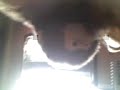 dj monky
