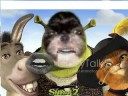 Panda Shrek
