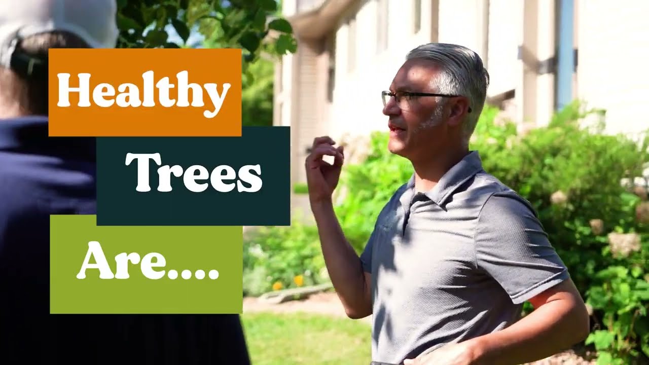 Healthy Trees Are...