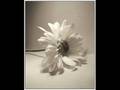videos de Men and Women in Islam part 5
