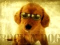 Rock 'n' Dog