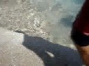 swimming @ GR(allysa and company)