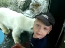 TON�K ZOO