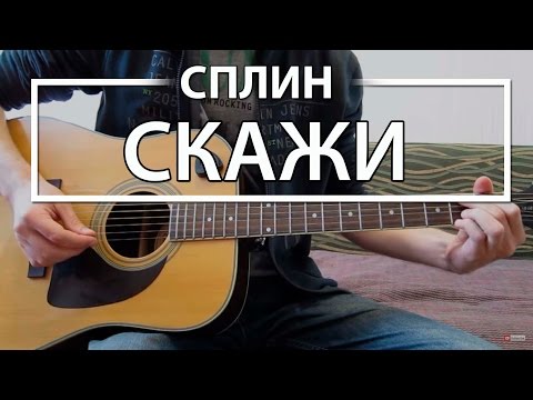 Как играть "Скажи" - Сплин (Разбор, Аккорды, Табы)