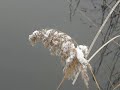 A Tél arcai (Wintertime).wmv