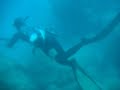 Spearfishing in Beirut 4