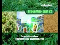 Green Free, the Dutch Cannabis Party