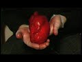 pumping hearth