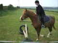 Abi & Barney * contest entry! *