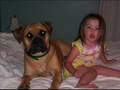 MY BULLMASTIFF HEIDI