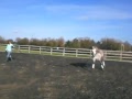 Bing canter right