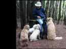 Andr� et sa meute