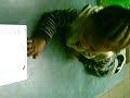 my son my son