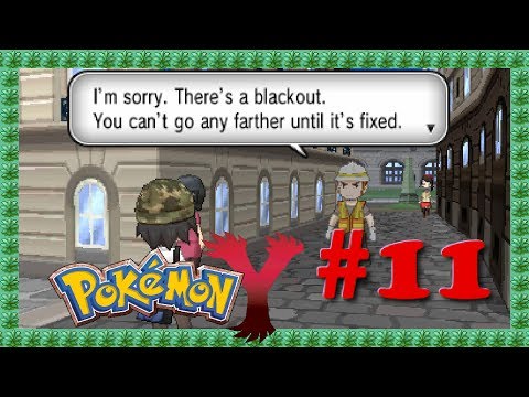 how to get rid of the blackout in pokemon x