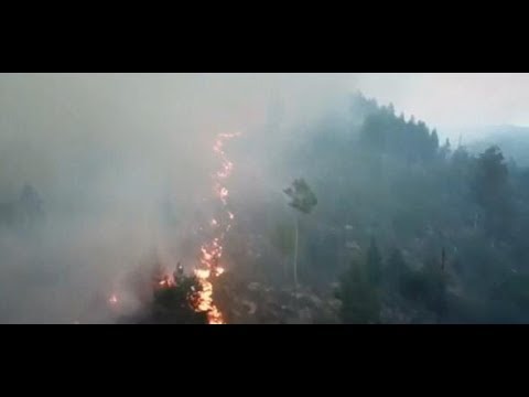 SOMMERHITZE: Waldbrände wüten in Schweden
