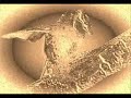 nightbird - eva cassidy Manele-Gratis.net
