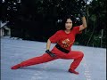 Kung  Fu Filipino Martial Arts Doce Pares Arnis Blancia