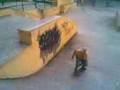 videos de skate na ponta negra