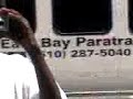 You Gotta Have Money O.G Speakz!