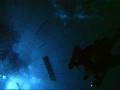 Scuba diving in NERO33