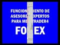 FOREX INVERSION EL NEGOCIO DE GANAR