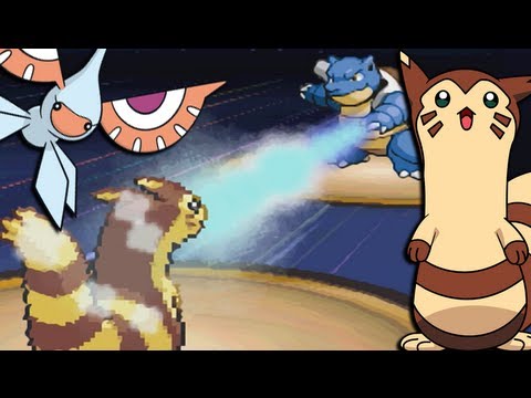 pokemon black pokemon black