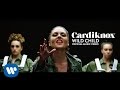 Wild Child [Official Music Video] 