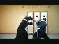 Ogawa Ryu Battojutsu Burgos