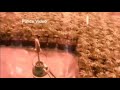 Hash in the Attic - Grass Farm in a Glasgow West End House - Police Footage from TV documentary