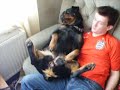 rottie cuddles rottie cuddles