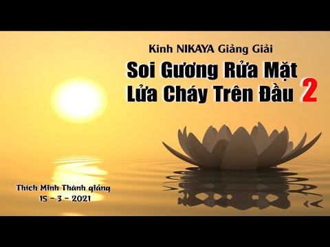 Kinh NIKAYA Giảng Giải _ Soi Gương Rửa Mặt - Lửa Cháy Trên Đầu 2