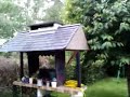 video made from LG Secret and convert to MPEG4