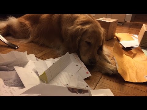 monthly - Subscribe to my Channel: ✦✦✦ http://bit.ly/NoodleOn ✦✦✦ OH EM GEE YOU GUYS!!! About 400 pieces of mail for this month's Mail Bag! It was like a huge Christma...