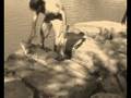 videos de Sergio y su siluro en fuentes de ebro