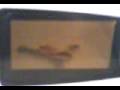 videos de rompiamo il micronde della mamma di galva xD