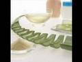 How to filet an Aloe Vera Leaf